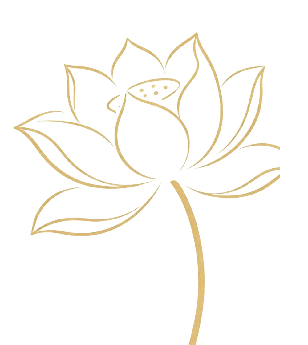 莲花